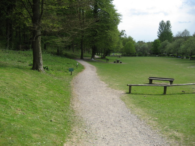 Queen Elizabeth Country Park, path leading into woodland Queen Elizabeth Country Park, path leading into woodland